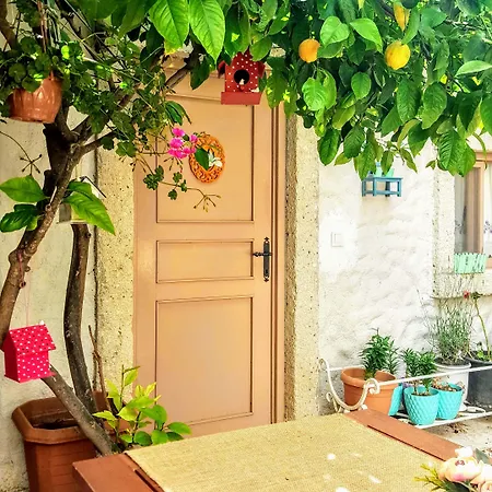 Lilyum Butik Alaçatı